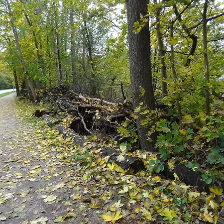 Fuer 3 Personen In Апартаменты