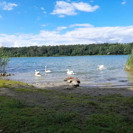 Апартаменты Fuer 3 Personen In *