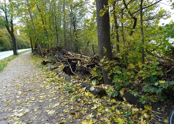 Fuer 3 Personen In شقة